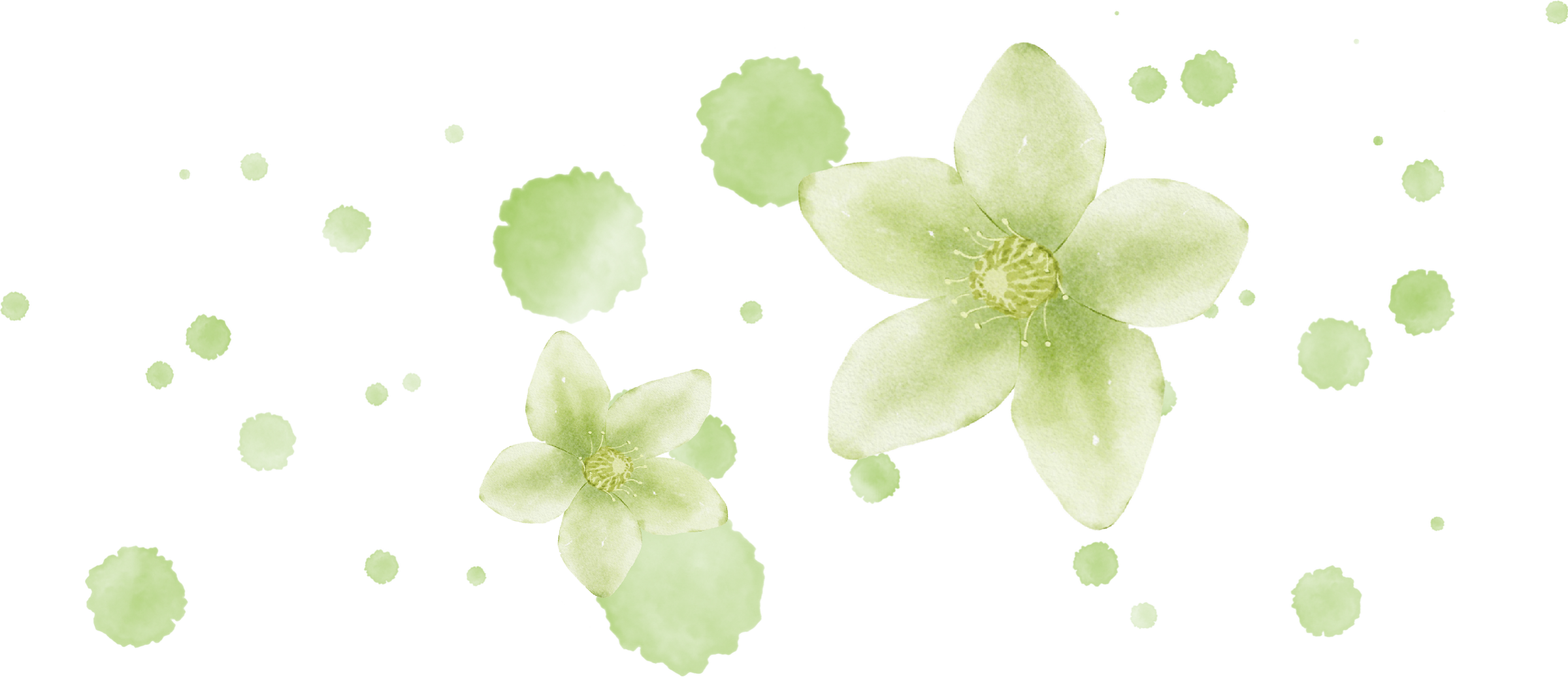 Akcie – Marec 2026